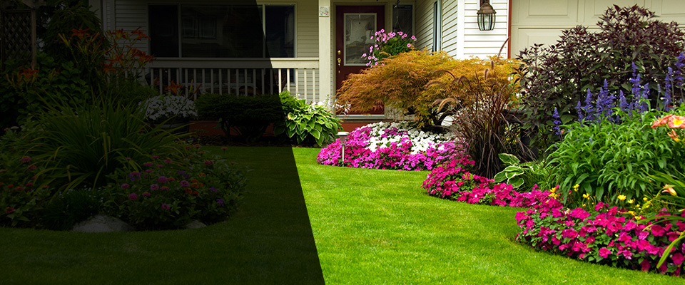 Kennesaw Landscapers