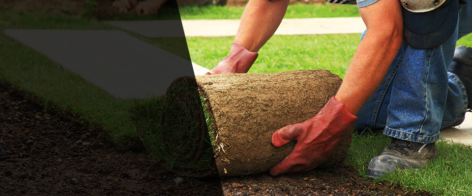 Kennesaw Landscapers